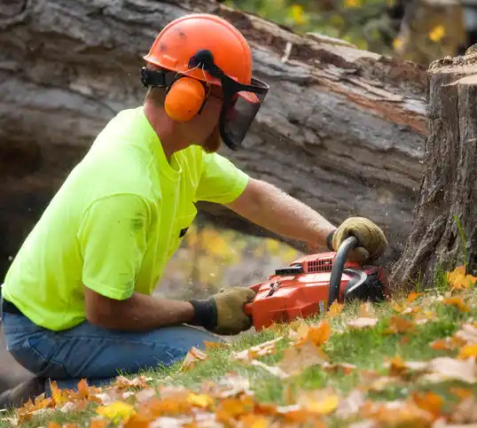 tree services Fall River